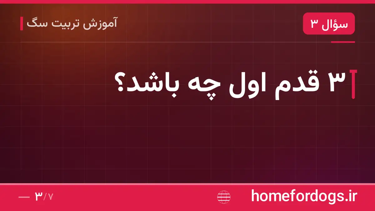 ۳ قدم اول چه باشد؟