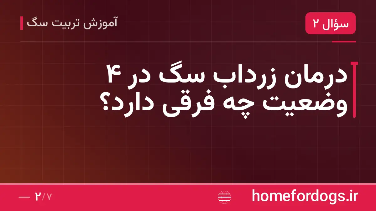 درمان زرداب سگ در ۴ وضعیت چه فرقی دارد؟