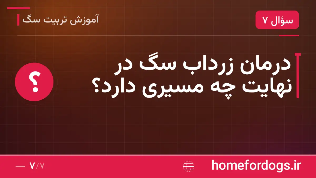 درمان زرداب سگ در نهایت چه مسیری دارد؟