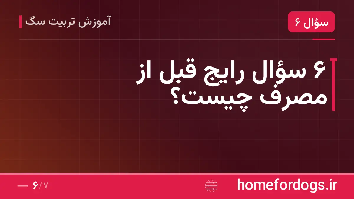 ۶ سؤال رایج قبل از مصرف چیست؟