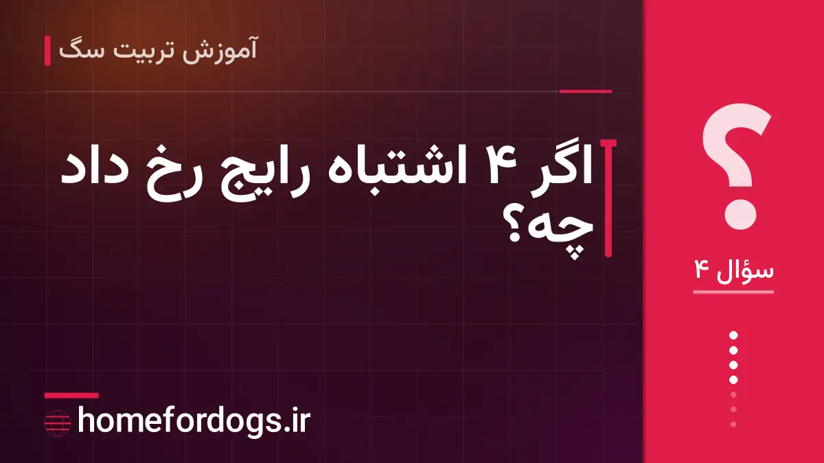 اگر ۴ اشتباه رایج رخ داد چه؟