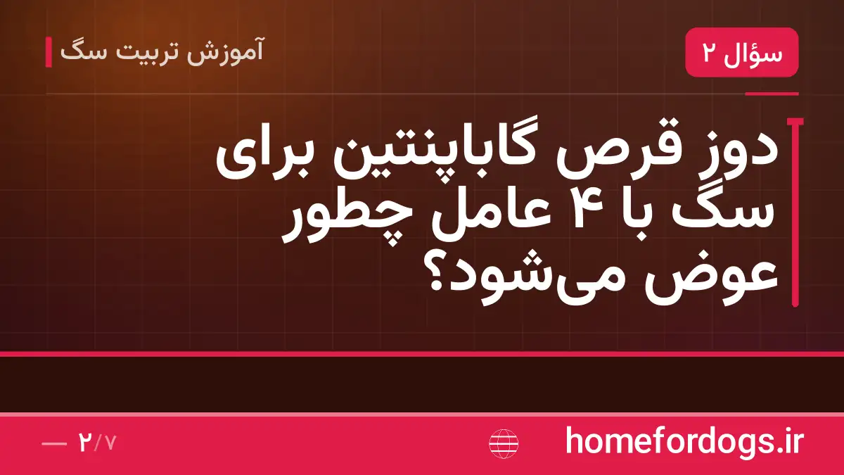 دوز قرص گاباپنتین برای سگ با ۴ عامل چطور عوض می‌شود؟