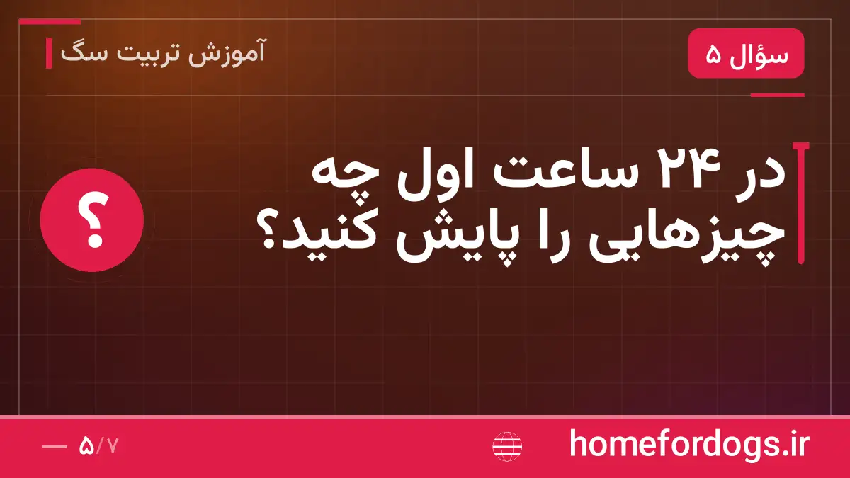 در ۲۴ ساعت اول چه چیزهایی را پایش کنید؟