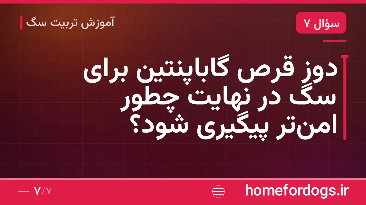 دوز قرص گاباپنتین برای سگ در نهایت چطور امن‌تر پیگیری شود؟