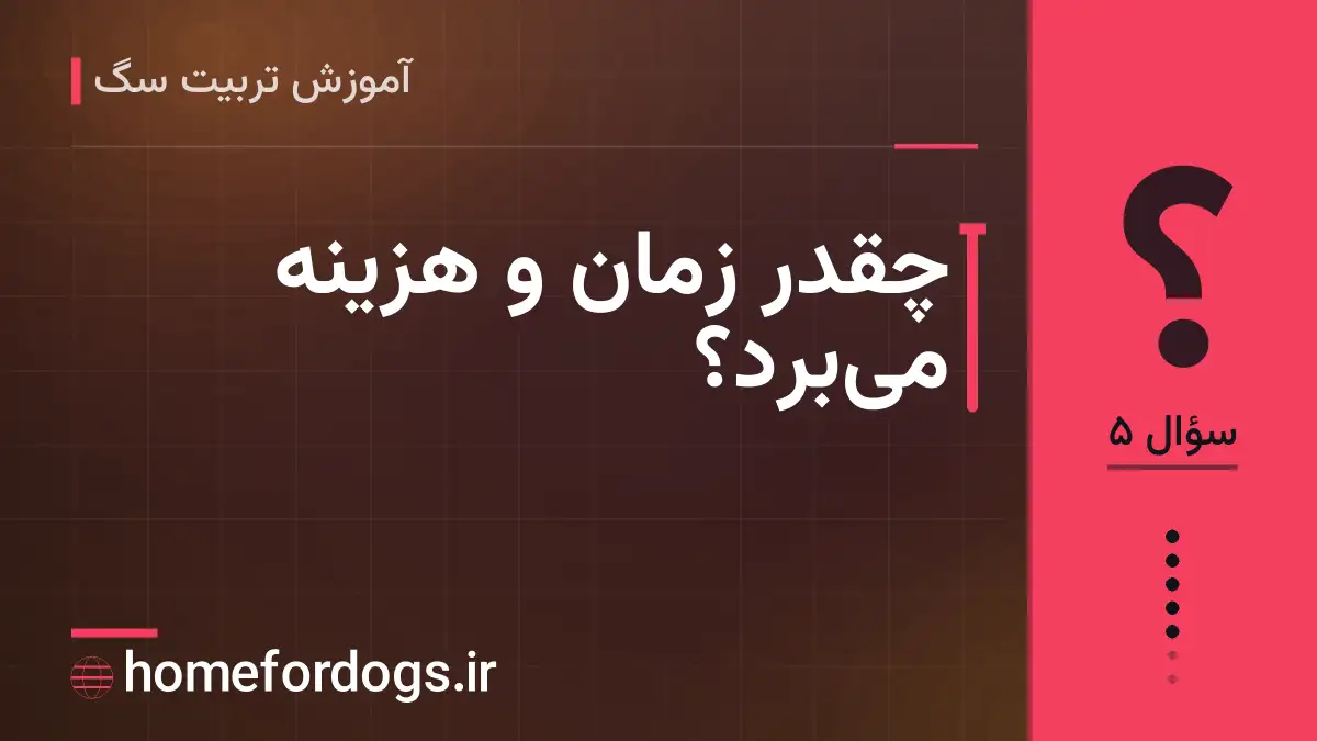چقدر زمان و هزینه می‌برد؟