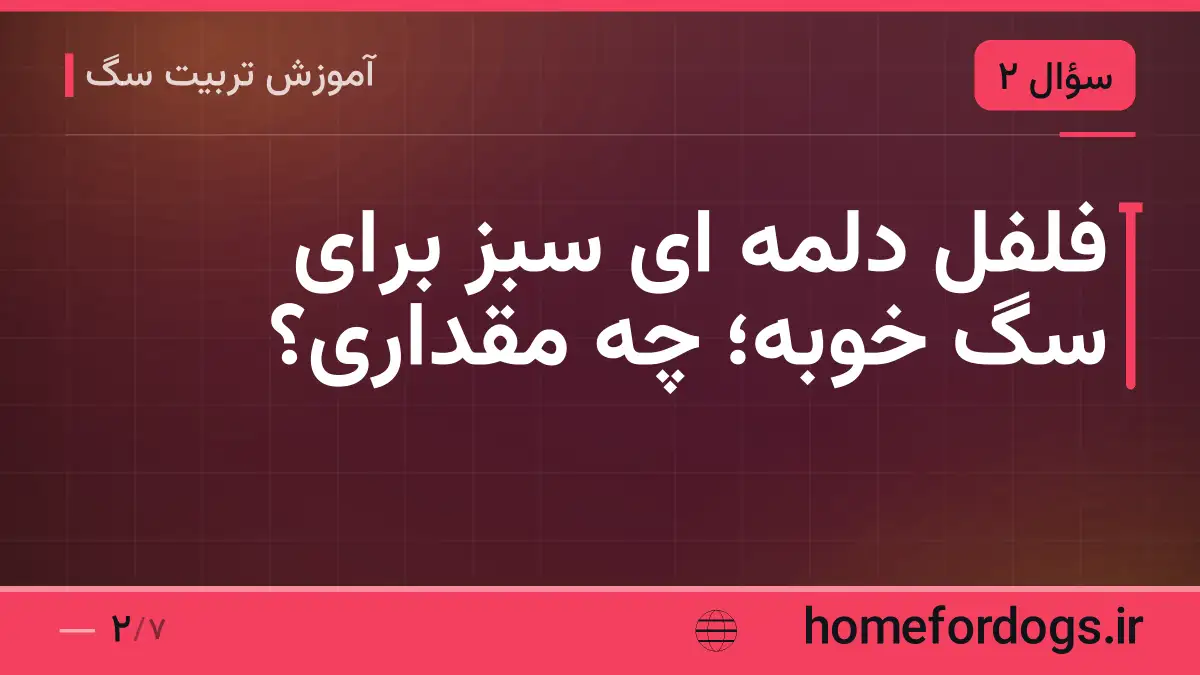 فلفل دلمه ای سبز برای سگ خوبه؛ چه مقداری؟