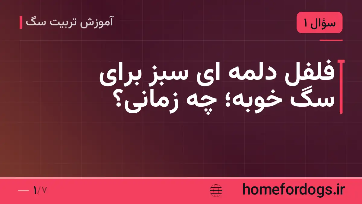 فلفل دلمه ای سبز برای سگ خوبه؛ چه زمانی؟