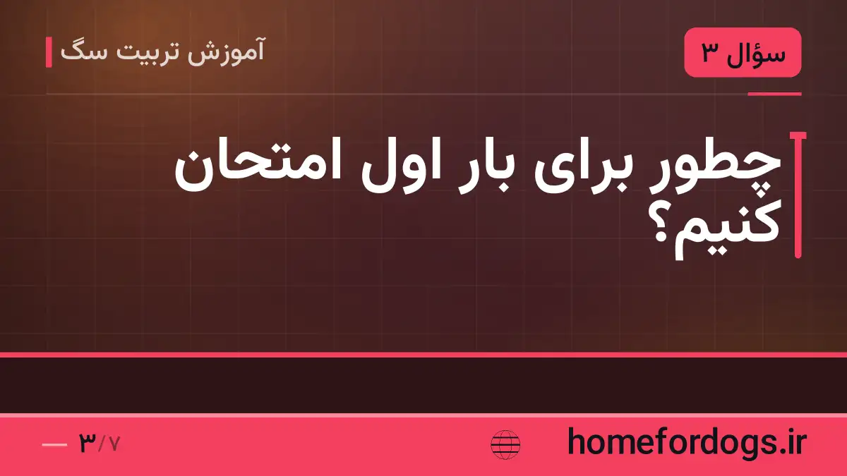 چطور برای بار اول امتحان کنیم؟
