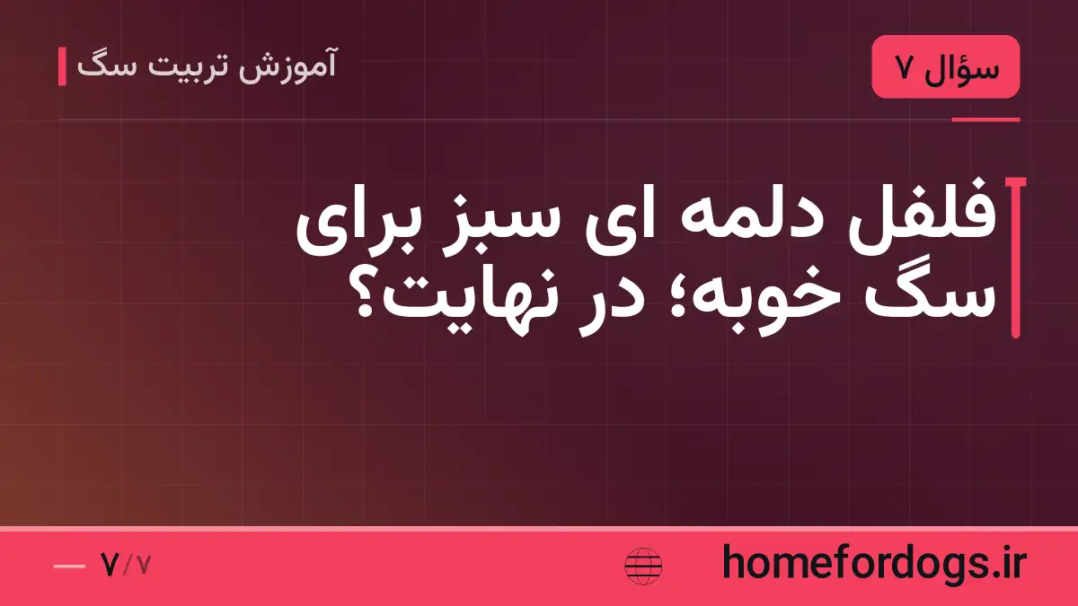 فلفل دلمه ای سبز برای سگ خوبه؛ در نهایت؟