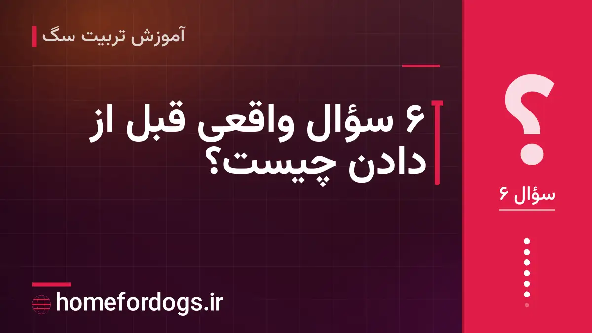 ۶ سؤال واقعی قبل از دادن چیست؟