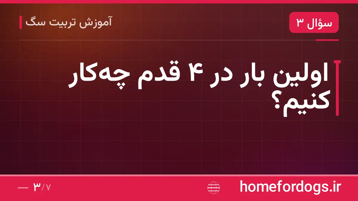 اولین بار در ۴ قدم چه‌کار کنیم؟