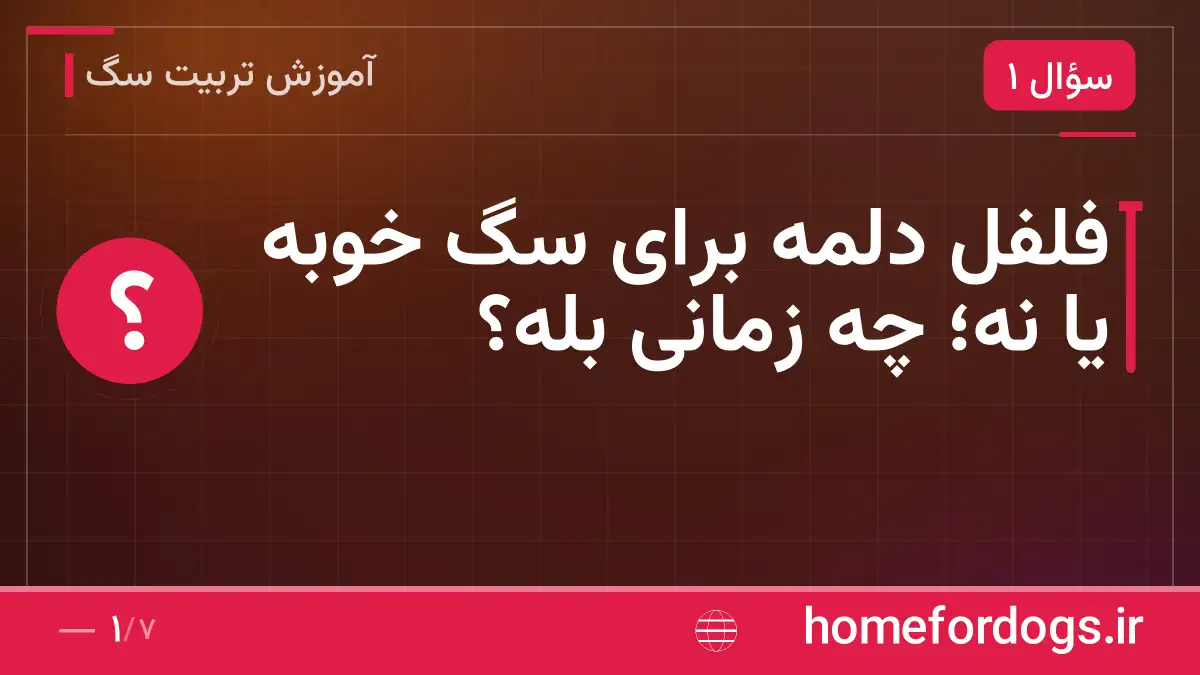 فلفل دلمه برای سگ خوبه یا نه؛ چه زمانی بله؟