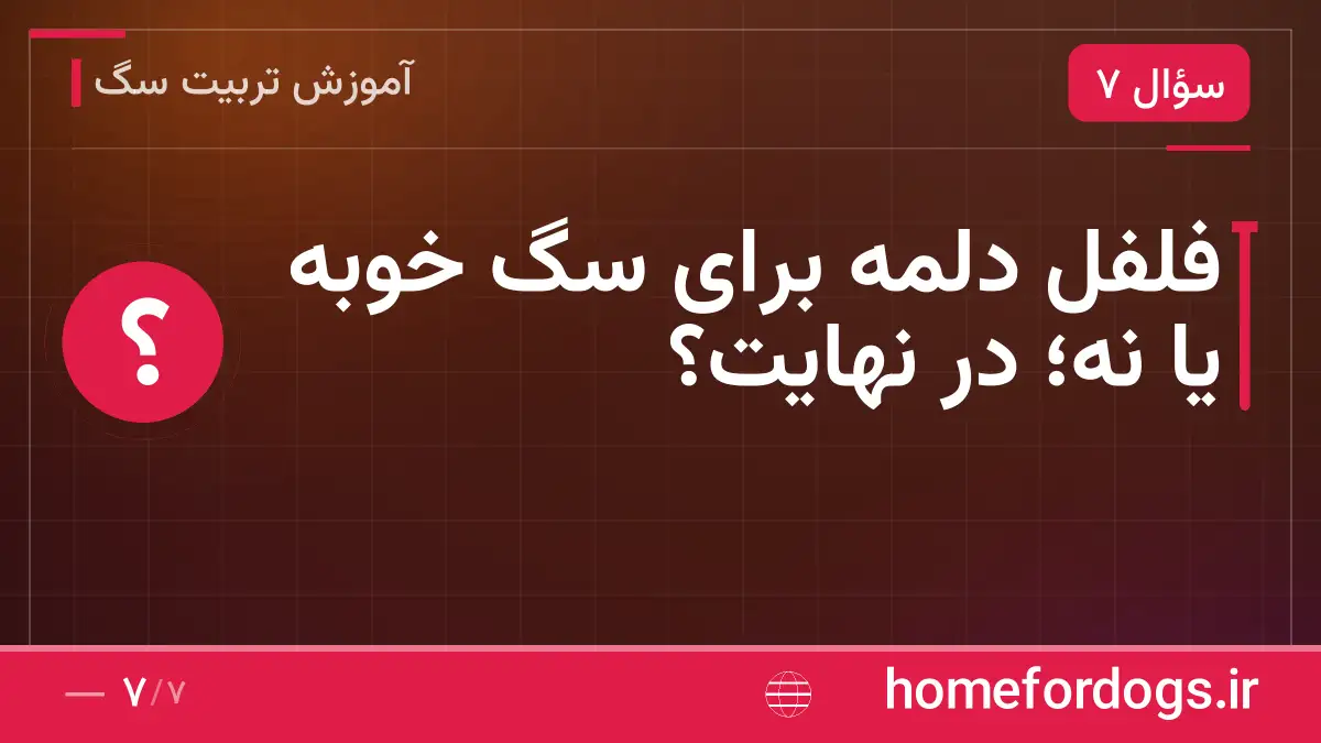 فلفل دلمه برای سگ خوبه یا نه؛ در نهایت؟