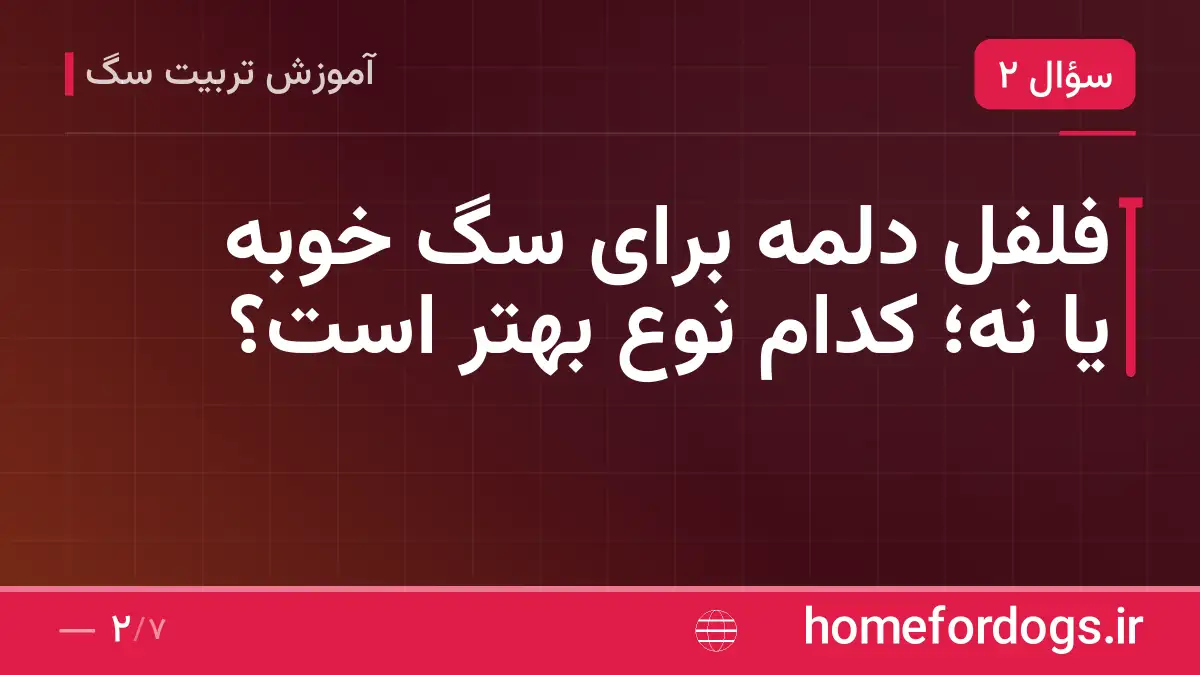 فلفل دلمه برای سگ خوبه یا نه؛ کدام نوع بهتر است؟