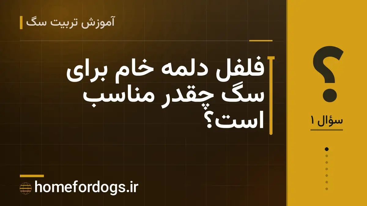 فلفل دلمه خام برای سگ چقدر مناسب است؟