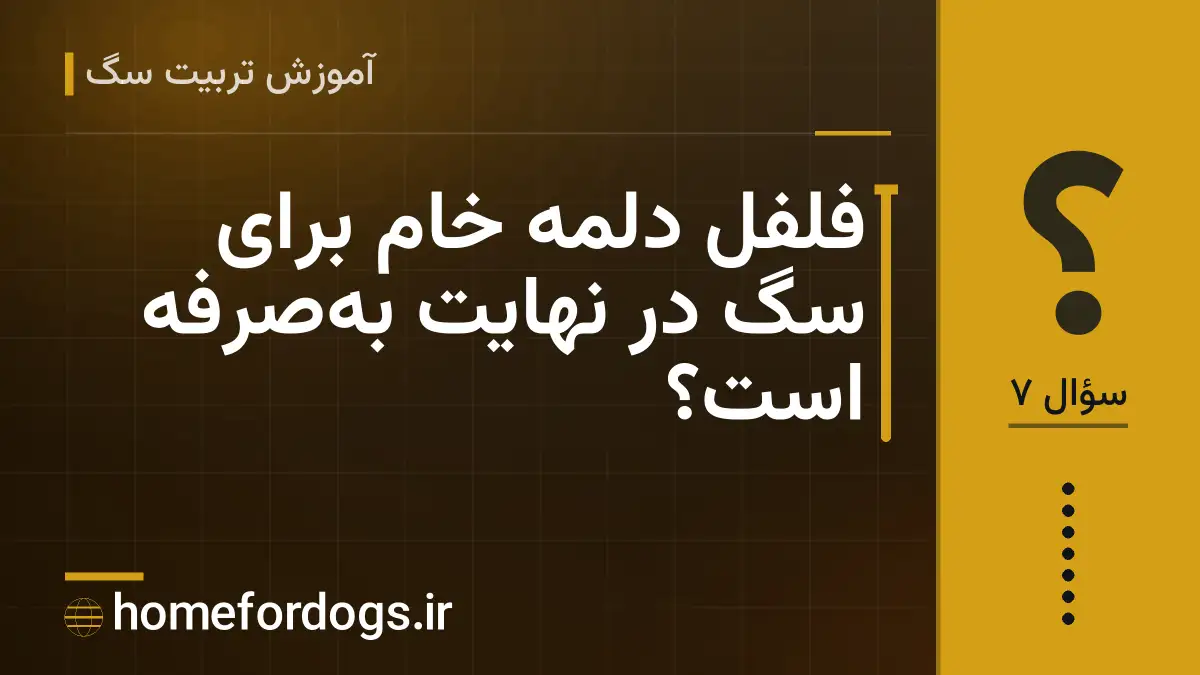 فلفل دلمه خام برای سگ در نهایت بهصرفه است؟