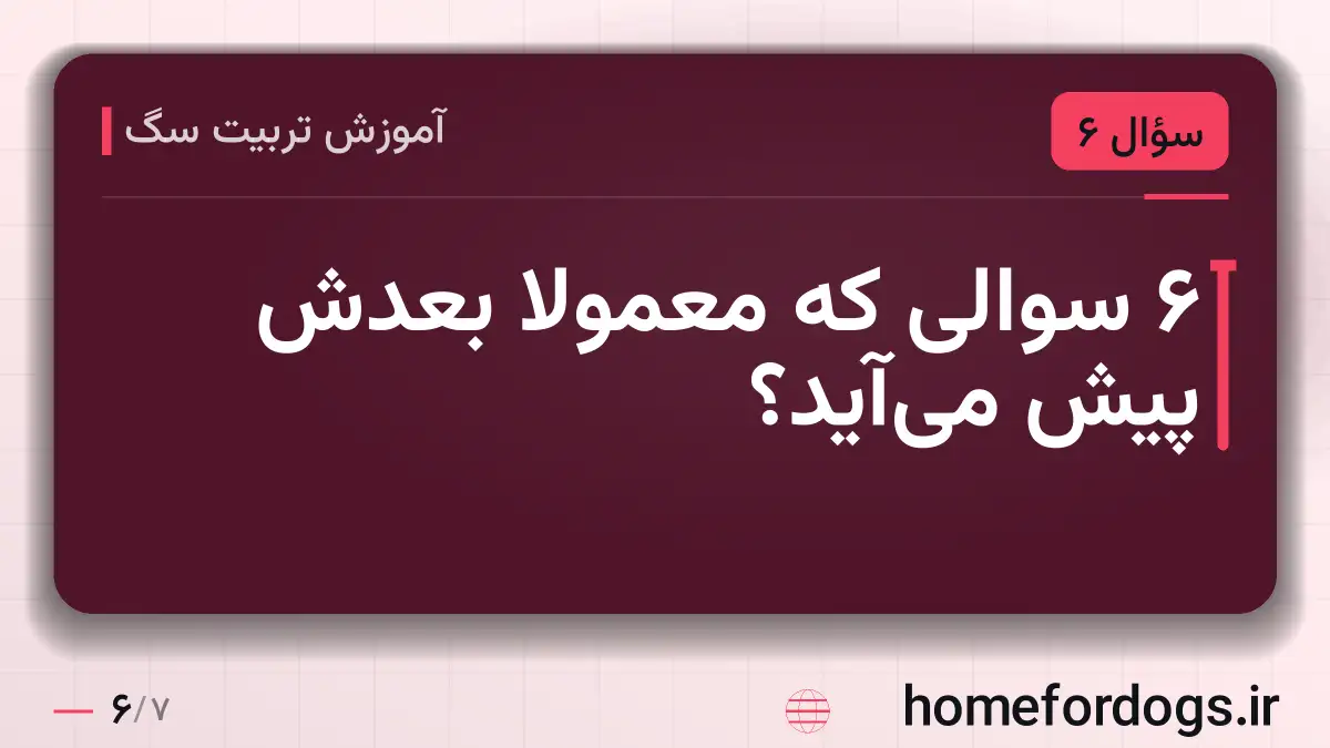 ۶ سوالی که معمولاً بعدش پیش می‌آید؟