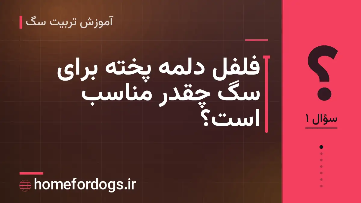 فلفل دلمه پخته برای سگ چقدر مناسب است؟