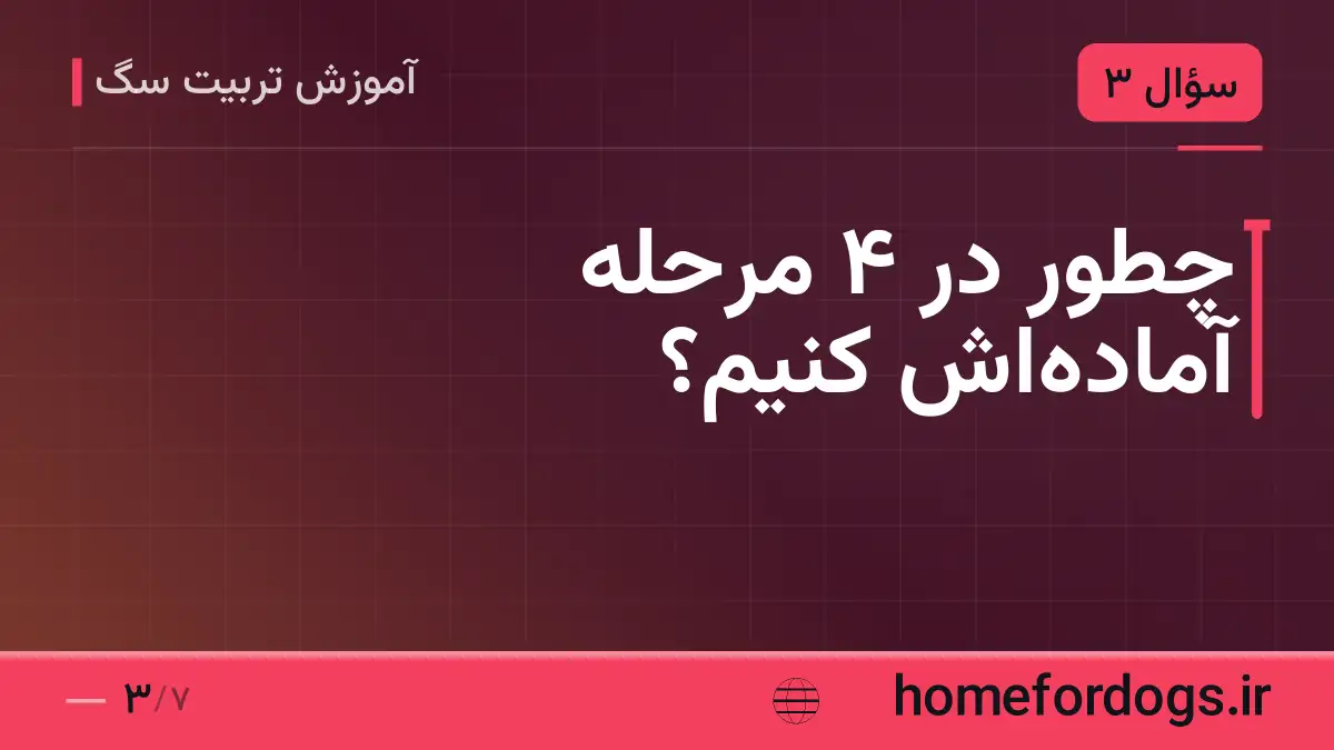 چطور در ۴ مرحله آماده‌اش کنیم؟