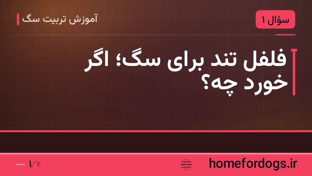 فلفل تند برای سگ؛ اگر خورد چه؟
