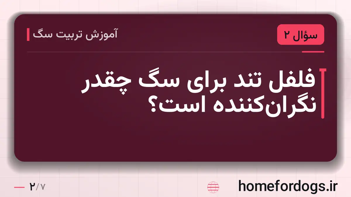 فلفل تند برای سگ چقدر نگران‌کننده است؟