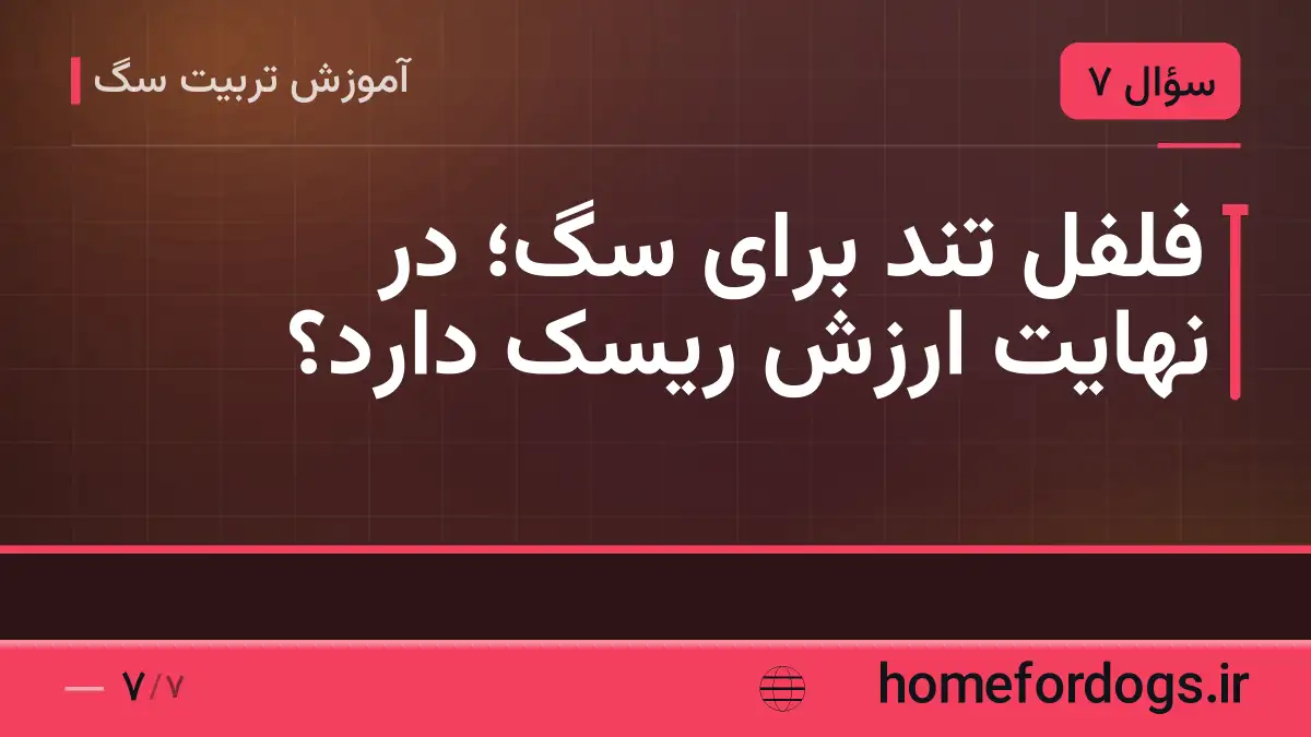 فلفل تند برای سگ؛ در نهایت ارزش ریسک دارد؟