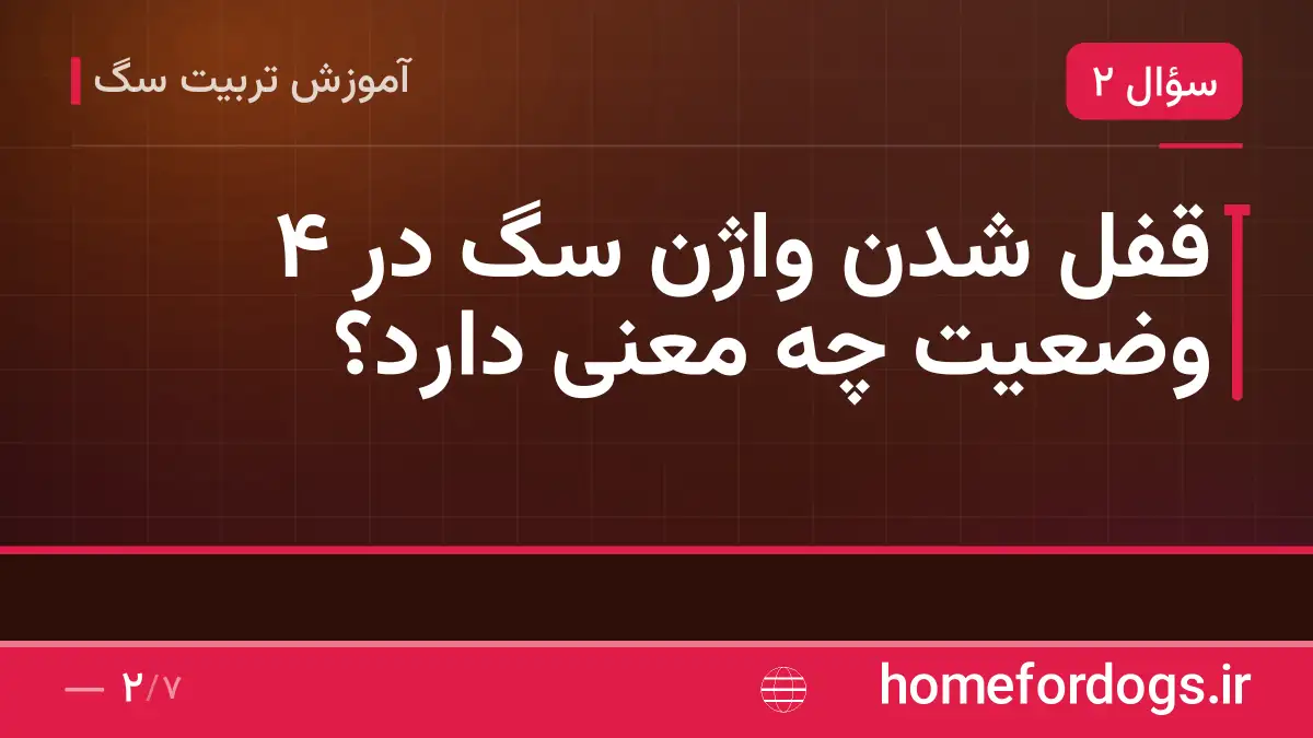 قفل شدن واژن سگ در ۴ وضعیت چه معنی دارد؟