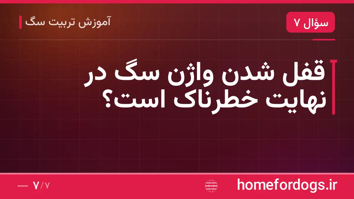قفل شدن واژن سگ در نهایت خطرناک است؟