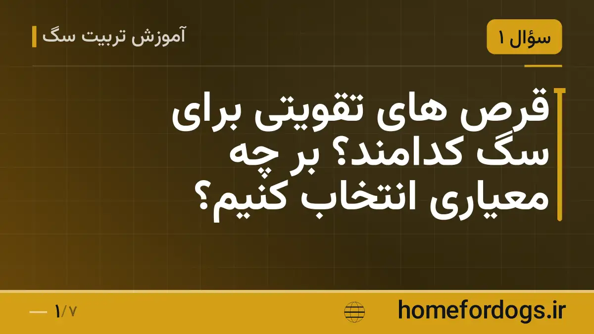 قرص های تقویتی برای سگ کدامند؟ بر چه معیاری انتخاب کنیم؟