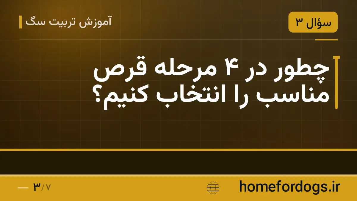چطور در ۴ مرحله قرص مناسب را انتخاب کنیم؟