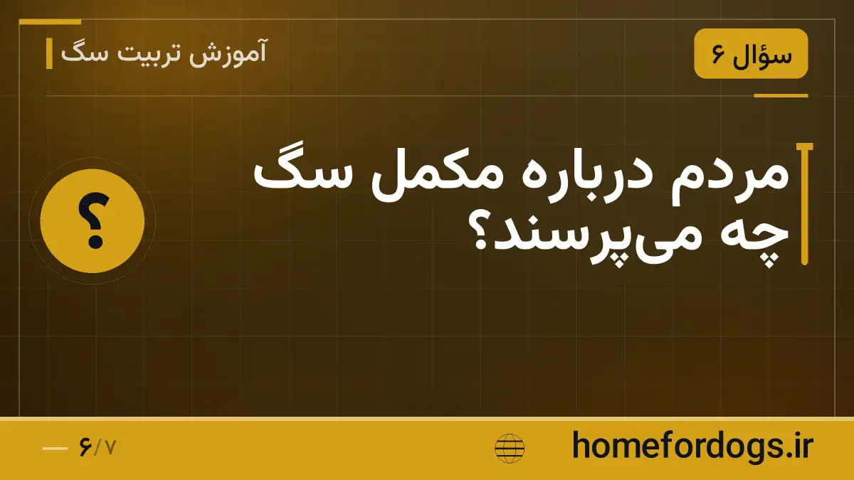مردم درباره مکمل سگ چه می‌پرسند؟