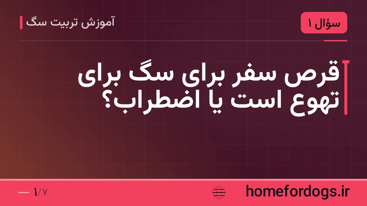قرص سفر برای سگ برای تهوع است یا اضطراب؟