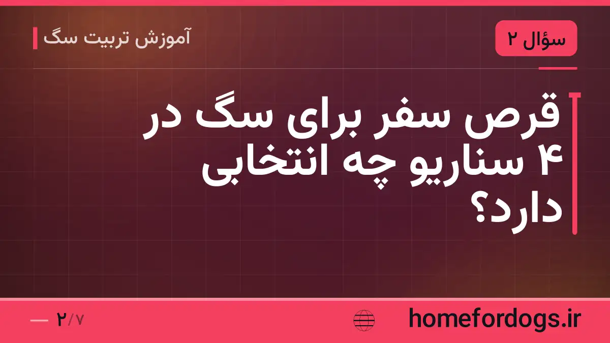 قرص سفر برای سگ در ۴ سناریو چه انتخابی دارد؟