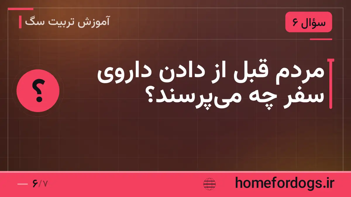 مردم قبل از دادن داروی سفر چه میپرسند؟