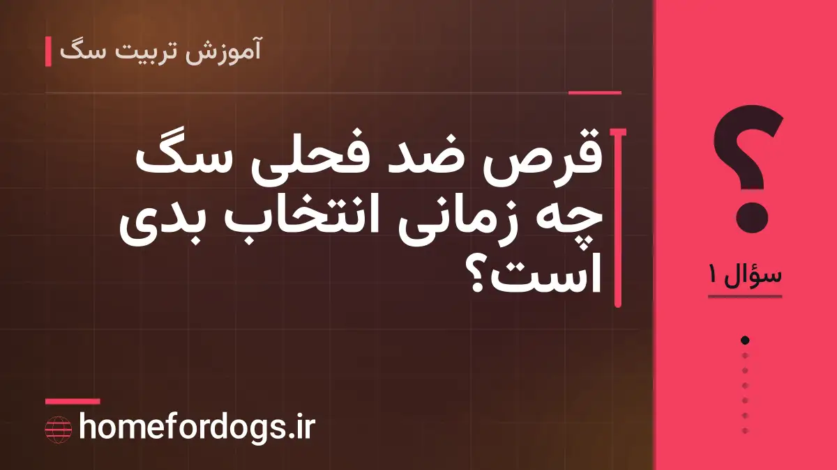 قرص ضد فحلی سگ چه زمانی انتخاب بدی است؟