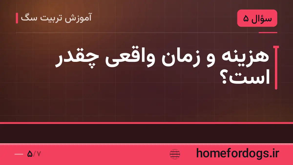 هزینه و زمان واقعی چقدر است؟
