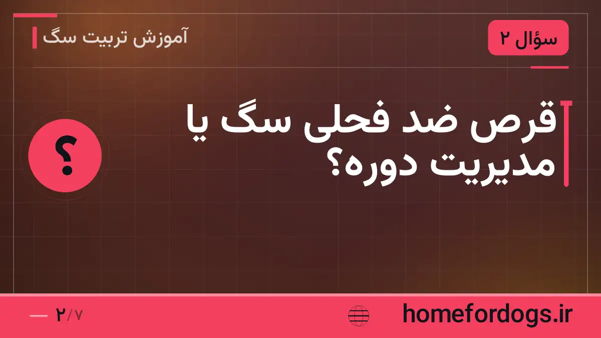 قرص ضد فحلی سگ یا مدیریت دوره؟