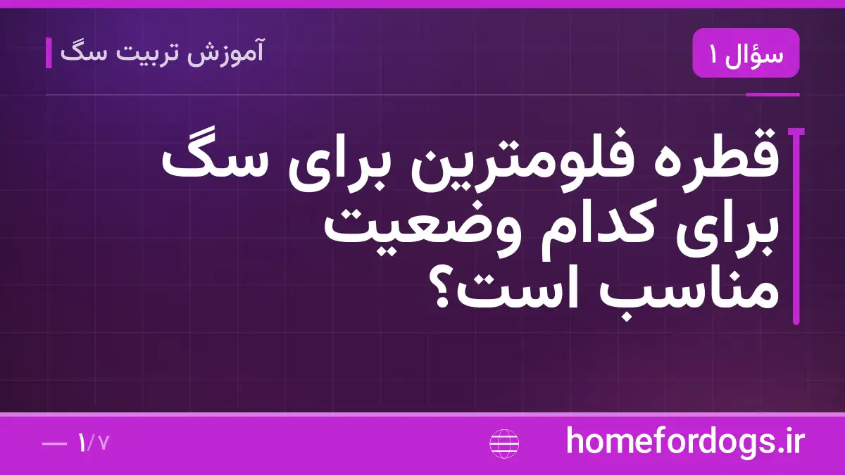 قطره فلومترین برای سگ برای کدام وضعیت مناسب است؟
