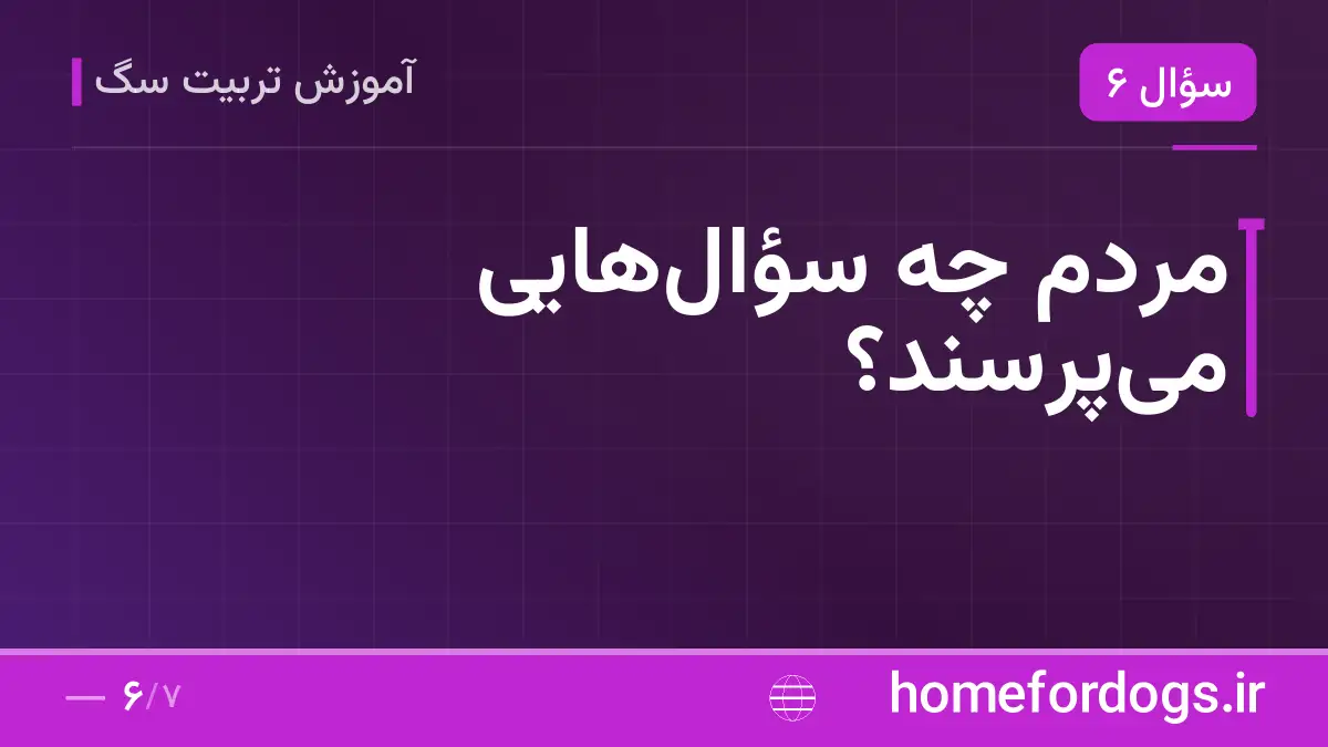 مردم چه سؤالهایی میپرسند؟