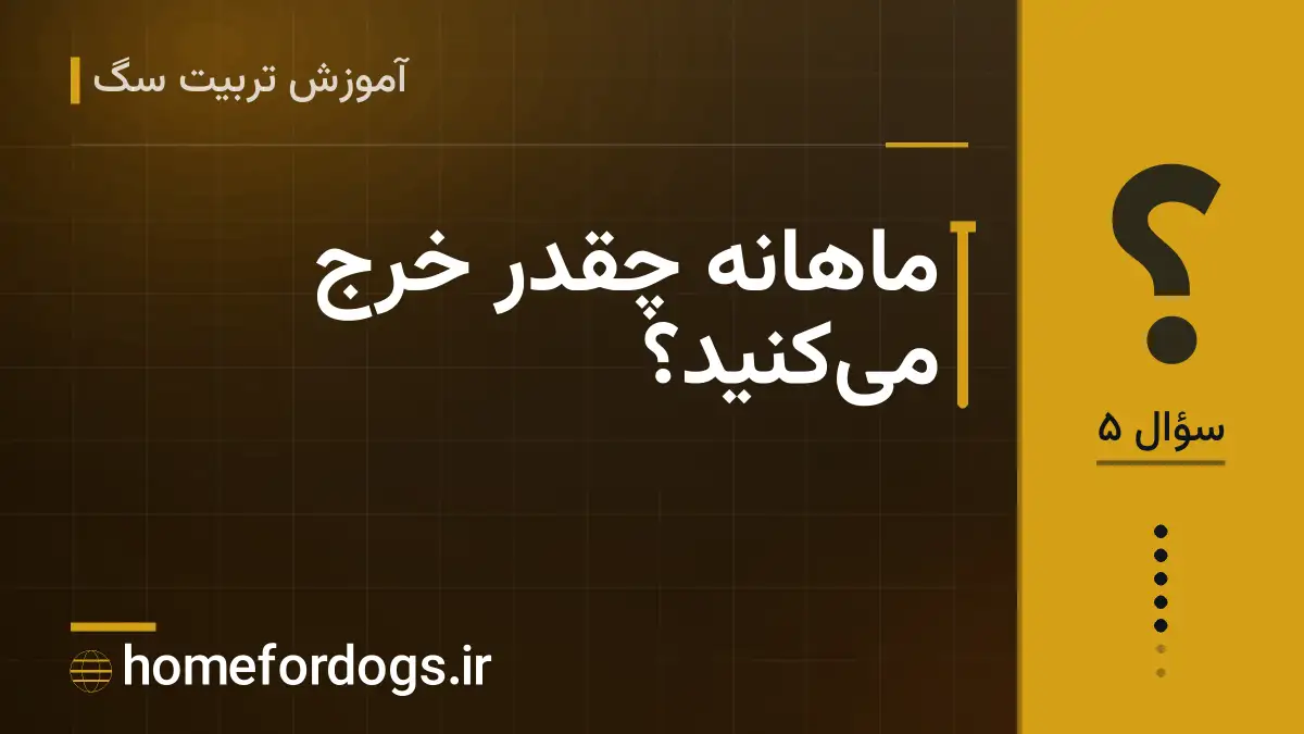 ماهانه چقدر خرج میکنید؟