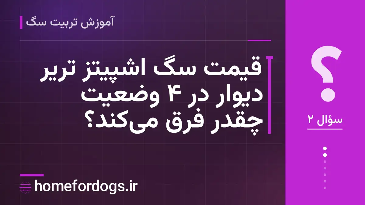 قیمت سگ اشپیتز تریر دیوار در ۴ وضعیت چقدر فرق میکند؟