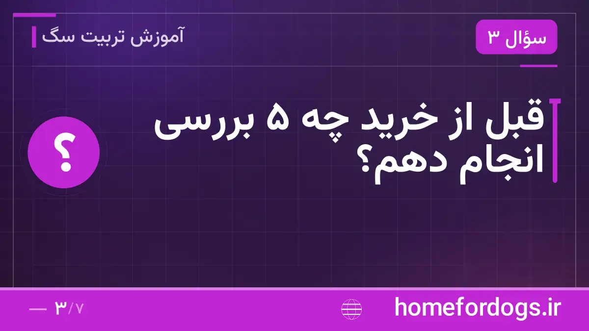 قبل از خرید چه ۵ بررسی انجام دهم؟