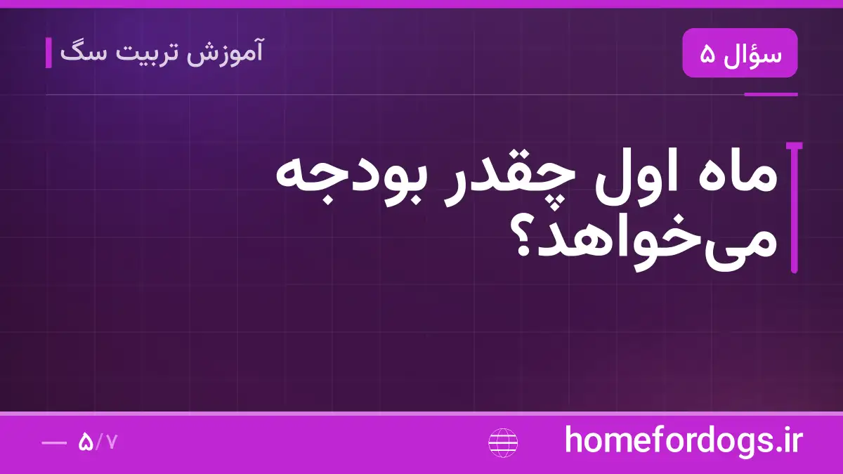 ماه اول چقدر بودجه میخواهد؟