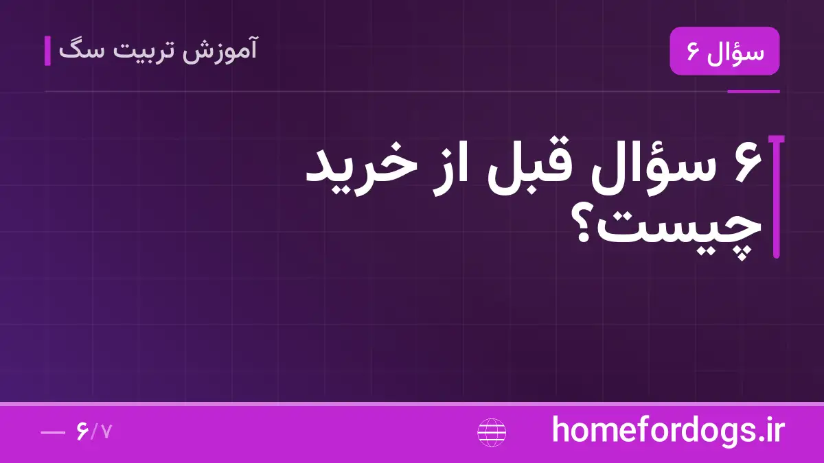 ۶ سؤال قبل از خرید چیست؟