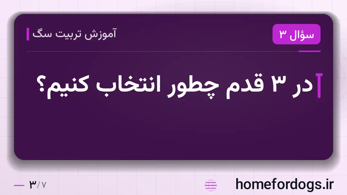در ۳ قدم چطور انتخاب کنیم؟