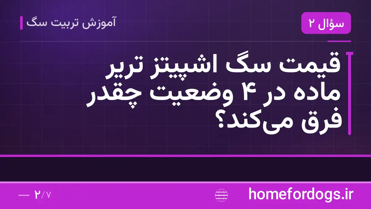 قیمت سگ اشپیتز تریر ماده در ۴ وضعیت چقدر فرق میکند؟