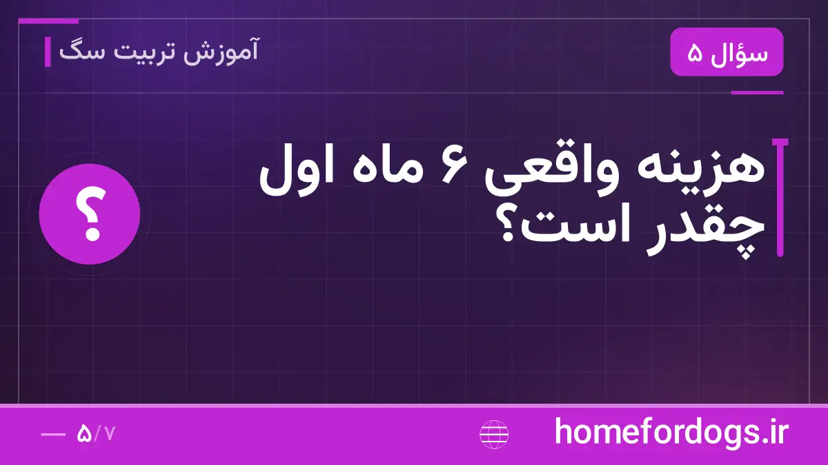 هزینهٔ واقعی ۶ ماه اول چقدر است؟
