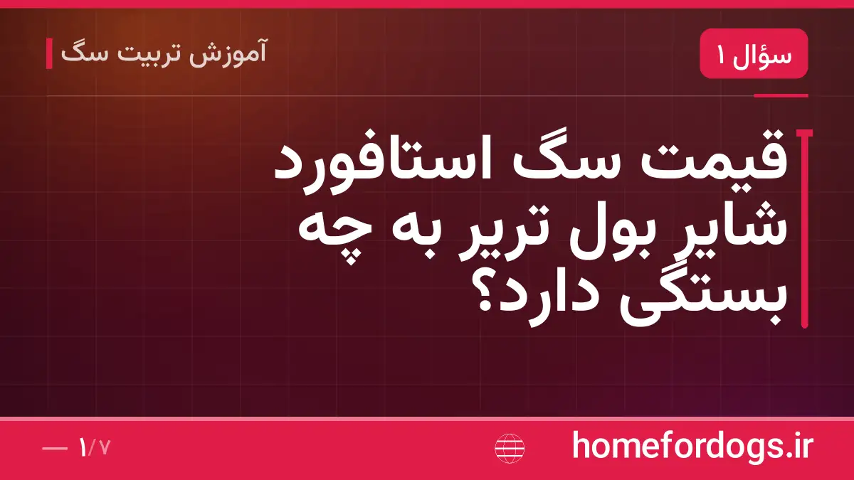قیمت سگ استافورد شایر بول تریر به چه بستگی دارد؟