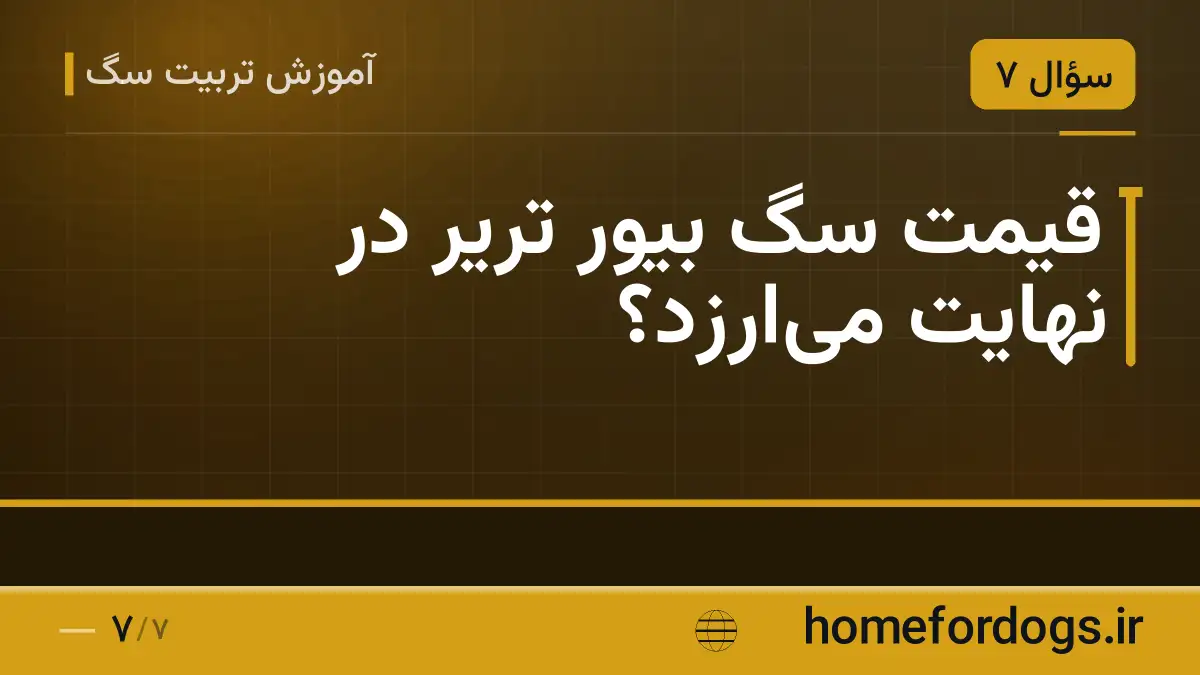 قیمت سگ بیور تریر در نهایت میارزد؟