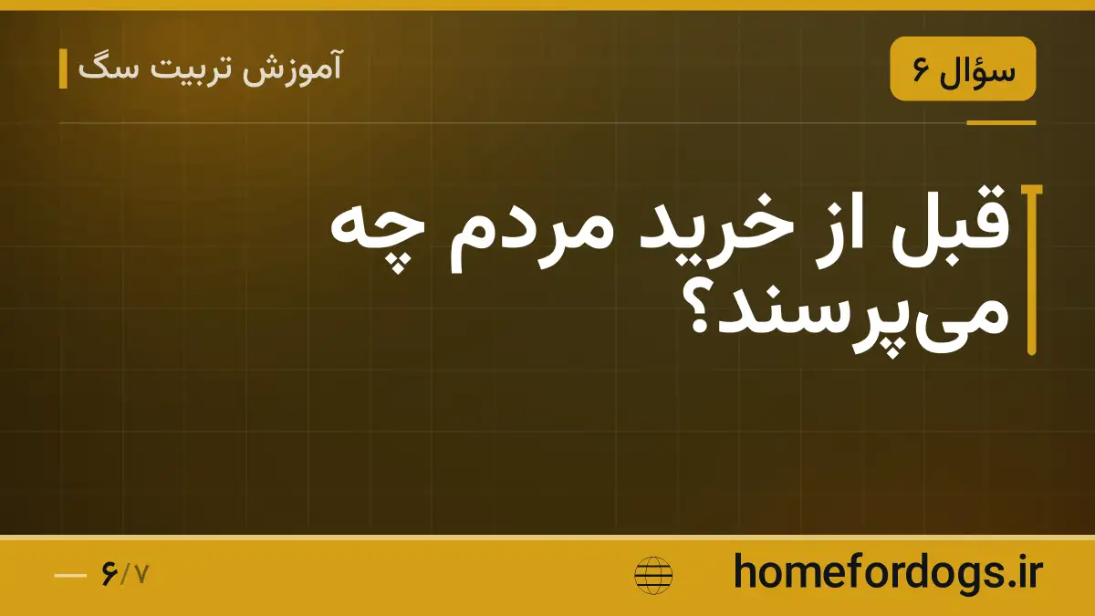 قبل از خرید مردم چه میپرسند؟